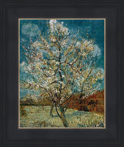 Peach Tree In Blossom