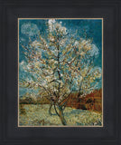 Peach Tree In Blossom