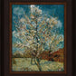 Peach Tree In Blossom