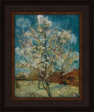 Peach Tree In Blossom