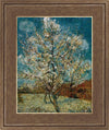 Peach Tree In Blossom