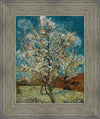 Peach Tree In Blossom