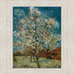 Peach Tree In Blossom