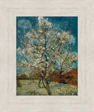 Peach Tree In Blossom