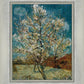 Peach Tree In Blossom