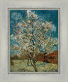 Peach Tree In Blossom