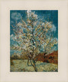 Peach Tree In Blossom