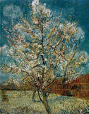 Peach Tree In Blossom