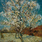 Peach Tree In Blossom