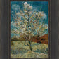 Peach Tree In Blossom
