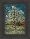 Peach Tree In Blossom