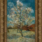 Peach Tree In Blossom