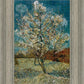 Peach Tree In Blossom