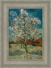 Peach Tree In Blossom