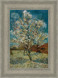 Peach Tree In Blossom