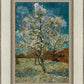 Peach Tree In Blossom