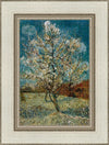 Peach Tree In Blossom