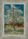 Peach Tree In Blossom