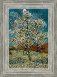 Peach Tree In Blossom