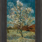 Peach Tree In Blossom