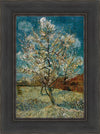 Peach Tree In Blossom