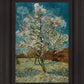 Peach Tree In Blossom
