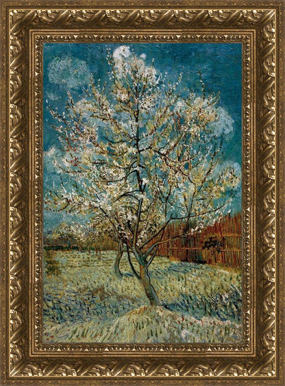 Peach Tree In Blossom