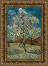 Peach Tree In Blossom