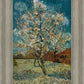 Peach Tree In Blossom