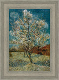 Peach Tree In Blossom