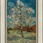 Peach Tree In Blossom