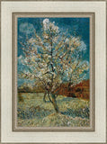 Peach Tree In Blossom