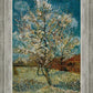 Peach Tree In Blossom