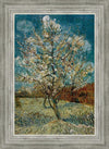 Peach Tree In Blossom