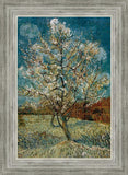 Peach Tree In Blossom