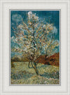 Peach Tree In Blossom