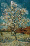 Peach Tree In Blossom