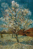 Peach Tree In Blossom