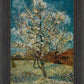 Peach Tree In Blossom