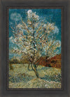 Peach Tree In Blossom