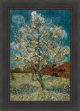 Peach Tree In Blossom