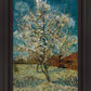 Peach Tree In Blossom