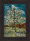 Peach Tree In Blossom