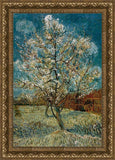 Peach Tree In Blossom