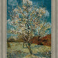 Peach Tree In Blossom