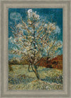 Peach Tree In Blossom