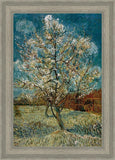 Peach Tree In Blossom