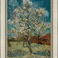 Peach Tree In Blossom