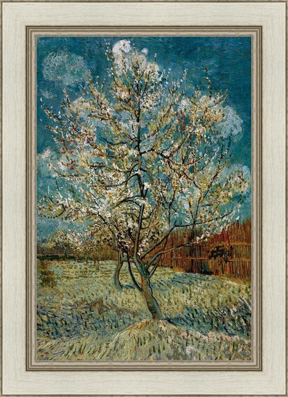 Peach Tree In Blossom