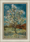 Peach Tree In Blossom